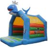 Château gonflable 5 x 4 m - Modèle STRGNFC089