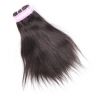 Cheveux indiens naturels droits - Ref CHVNAT9542 (Lot de 10 sachets)