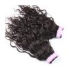 Cheveux indiens naturels remy - Ref CHVNAT9568 (Lot de 10 sachets)