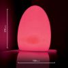 Oeuf lumineux déco 21 x 15 cm (Lot 50 pièces)