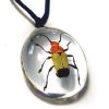 Pendentif résine avec insecte réel - Ref BIJRNSD09 (Lot 600 pcs)