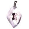 Pendentif résine avec insecte réel - Ref BIJRNSD67 (Lot 600 pcs)