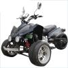 Quad 250 cc - 4 temps - QUAD25019
