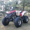 Quads 125 cc