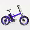 vélos électriques