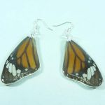 boucles oreilles animaux reels WE1