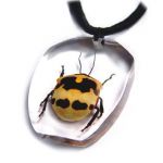 pendentif animaux SD58