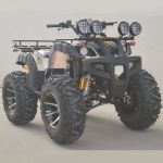 Quad 250 à 300 cc - 4 temps - 95 Km/h - QUAD2504 (Lot 5 pcs)