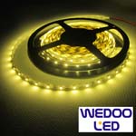 ruban led SMD3528 60 led IP68 BTF352860IP68