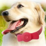 Traceur GPS pour chiens étanche GSM Bluetooth et WiFi