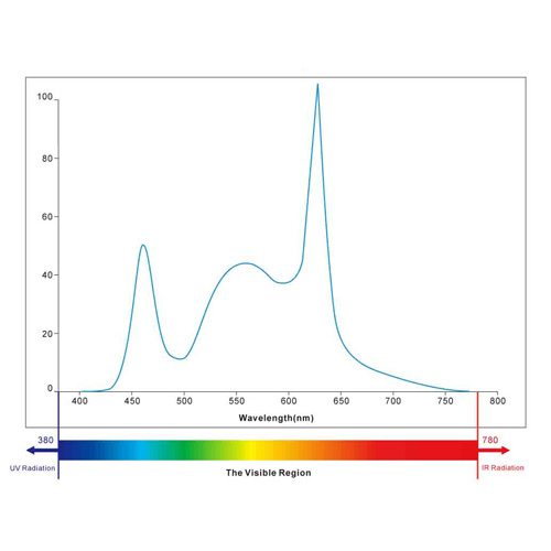 ampoule led 6W IR pic4