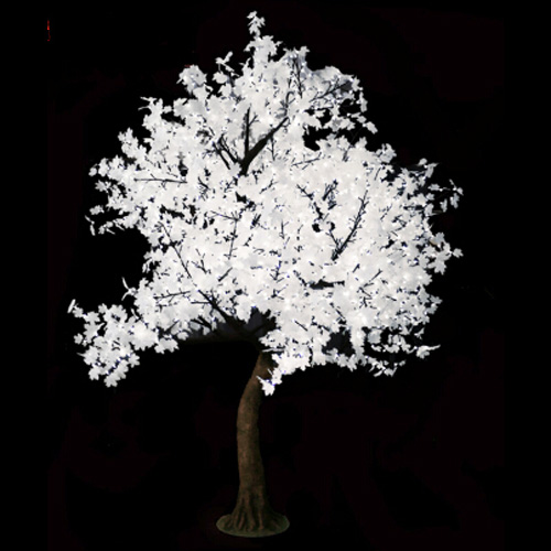 bonsai erable lumineux led LEDTE3028