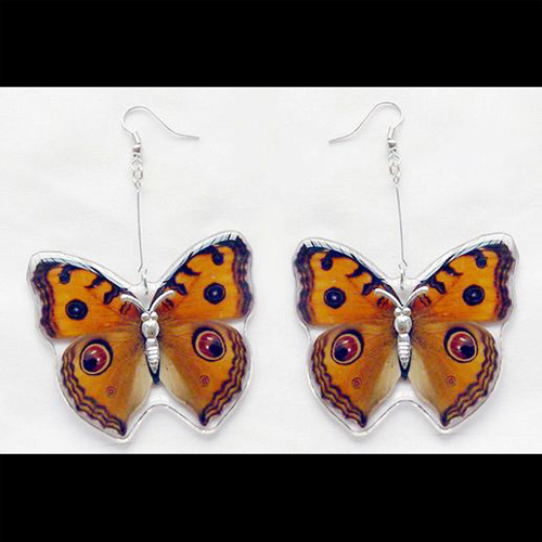 boucles oreilles animaux reels BE1