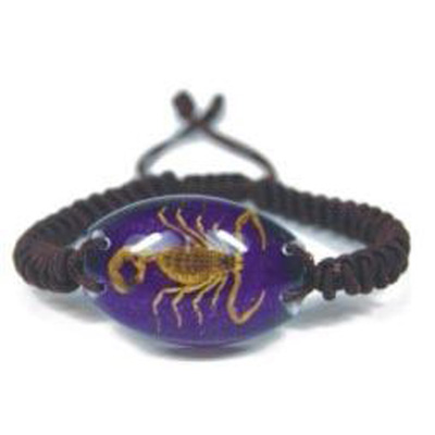 bracelet insecte reel LC14
