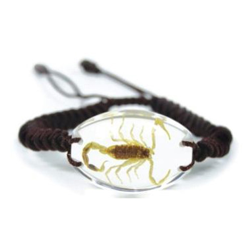 bracelet insecte reel SL14