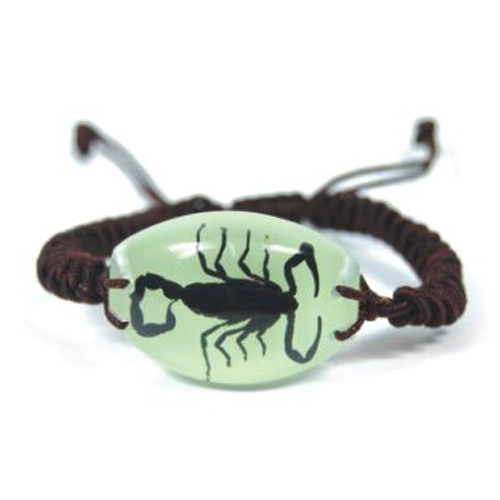 bracelet insecte reel YL14