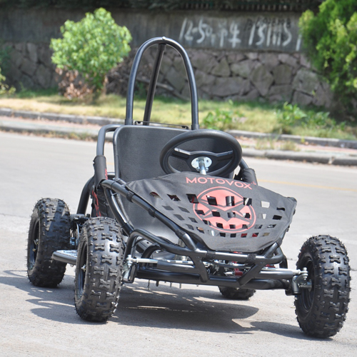 buggy junior 1000W BUGGY1 pic4