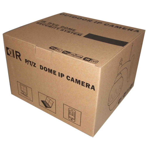 camera ip exterieur HD720P pic2