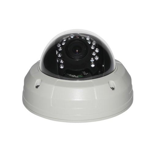 camera surveillance DVI20B