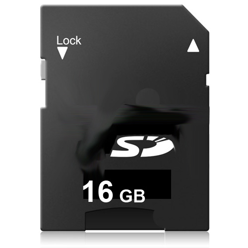 carte memoire sd 16go