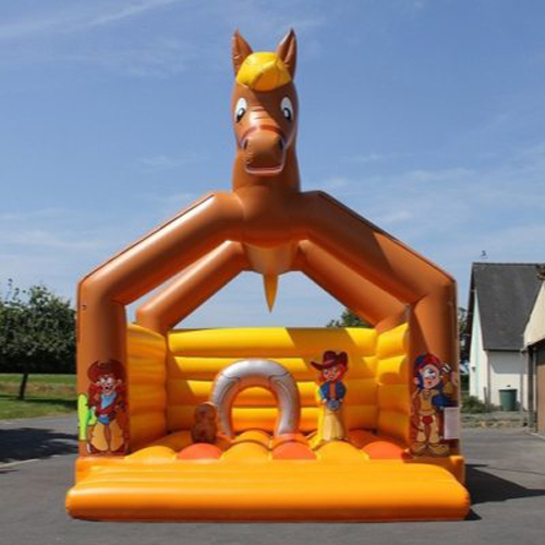 chateau gonflable CJ31