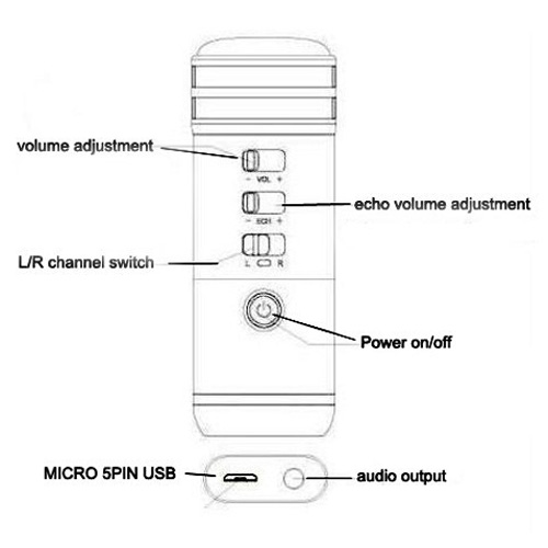 micro pour karaok pic4