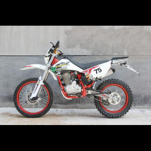 moto cross 49cc CROSSYDB13