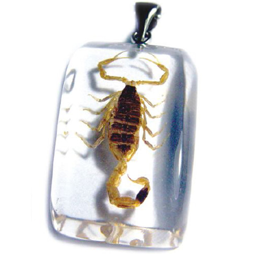 pendentif animaux SD15