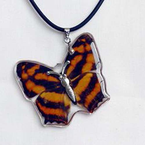 pendentif papillon BP2