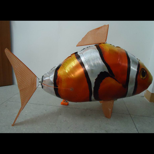 poisson volant pic5