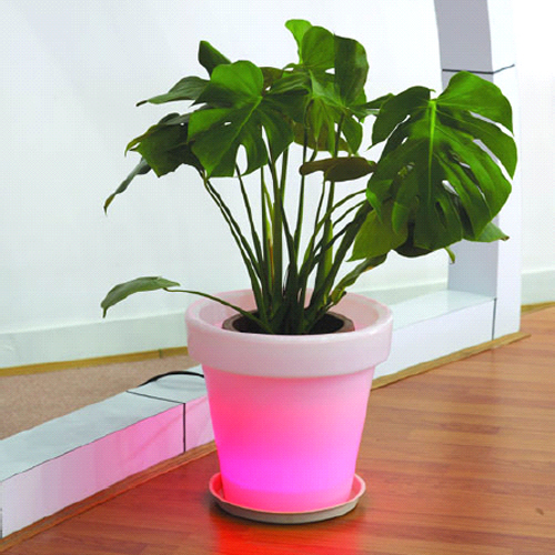 pot fleur lumineux 303134