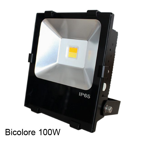 projecteur led bicolore 100W PRJLEDBI100