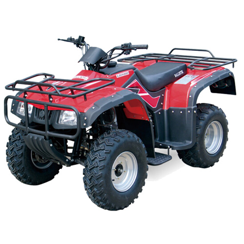 quad 250cc QUAD15018