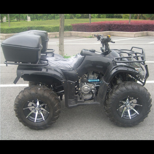 quad 250cc QUAD2501 pic4