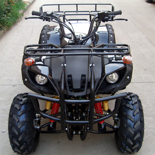 quad 250cc QUAD2502 pic2