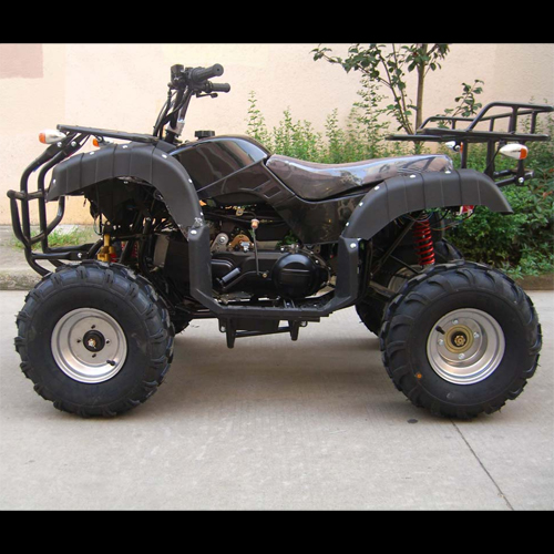 quad 250cc QUAD2502 pic3