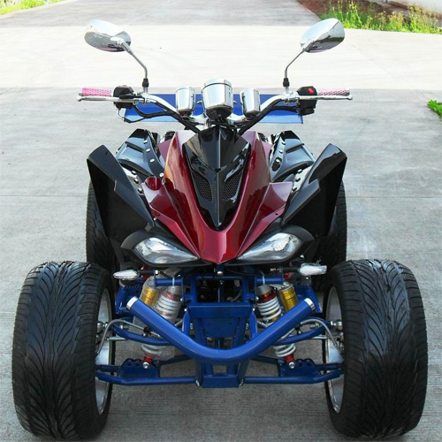 quad 250cc QUAD25023 pic2