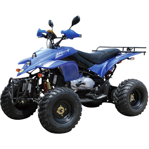 quad 250cc QUAD25032A pic2