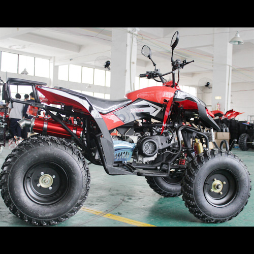 quad 250cc QUAD25033A pic2