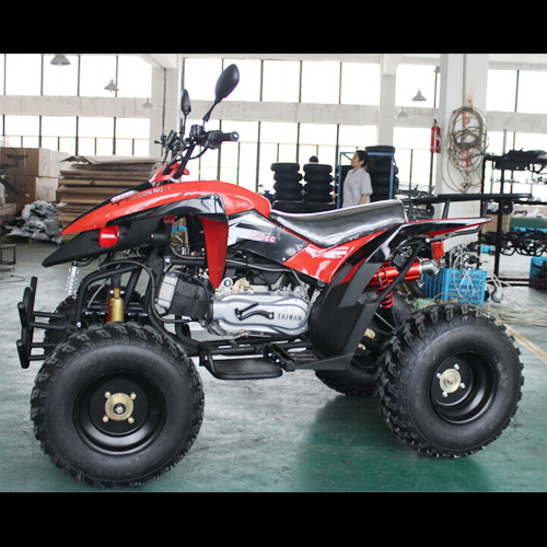 quad 250cc QUAD25033A pic3