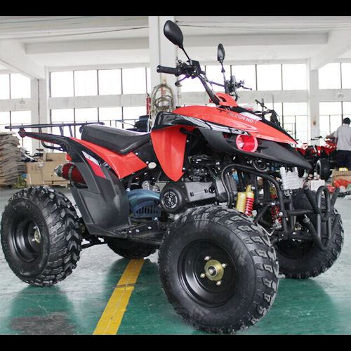 quad 250cc QUAD25033A pic4