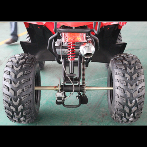 quad 250cc QUAD25033A pic5