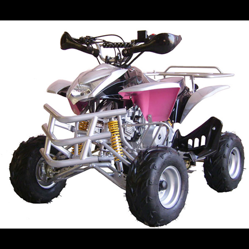 quand 110cc QUADZHV012