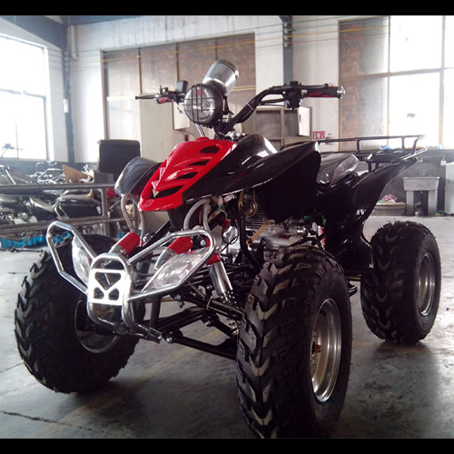 quand 250cc QUAD2505 pic3