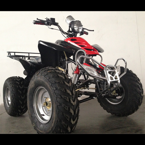 quand 250cc QUAD2505 pic5