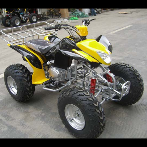 quand 250cc QUAD2506 pic3