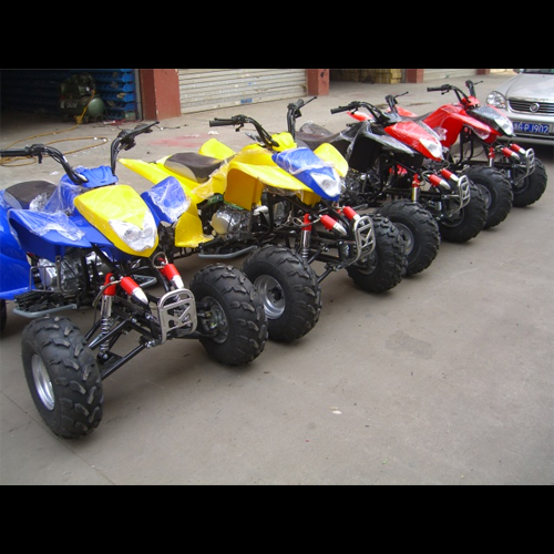 quand 250cc QUAD2506 pic5