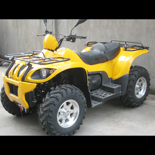 quand 500cc QUADZHV500 pic4