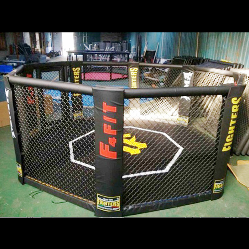 ring combat 4x4m pic2