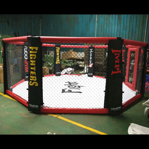 ring combat 4x4m pic4